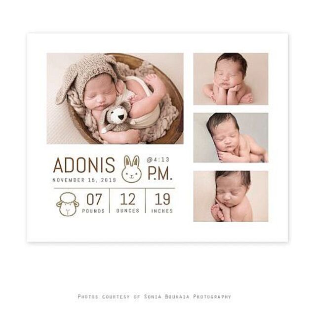 Hình ảnh sơ sinh độ phân giải cao phục vụ in ấn poster, lịch