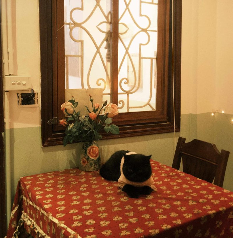 Chim Xanh Café ( Nguồn ảnh: Sưu tầm )