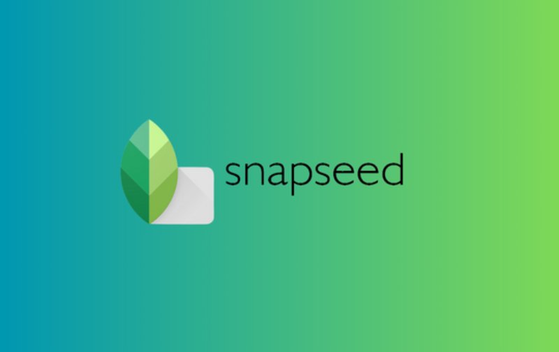 App chụp ảnh Snapseed ( Nguồn ảnh: Sưu tầm )
