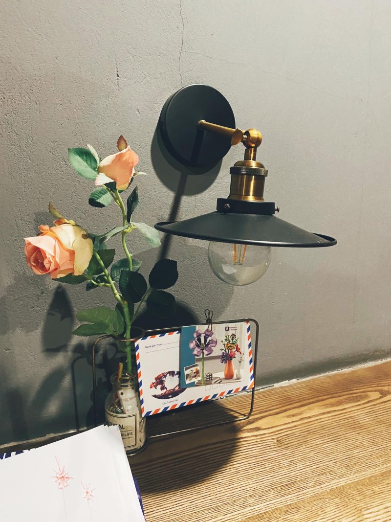 The Diary ( Nguồn ảnh: Sưu tầm )