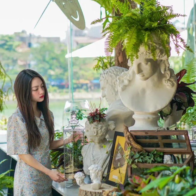 Tropical Forest Coffee ( Nguồn ảnh: Sưu tầm )