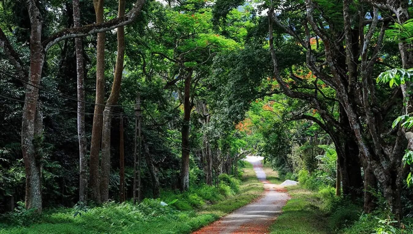 Vườn Quốc gia Ba Vì