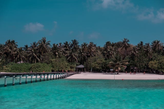 Hình nền biển chill kết hợp ánh nắng nhẹ và bầu trời yên ả