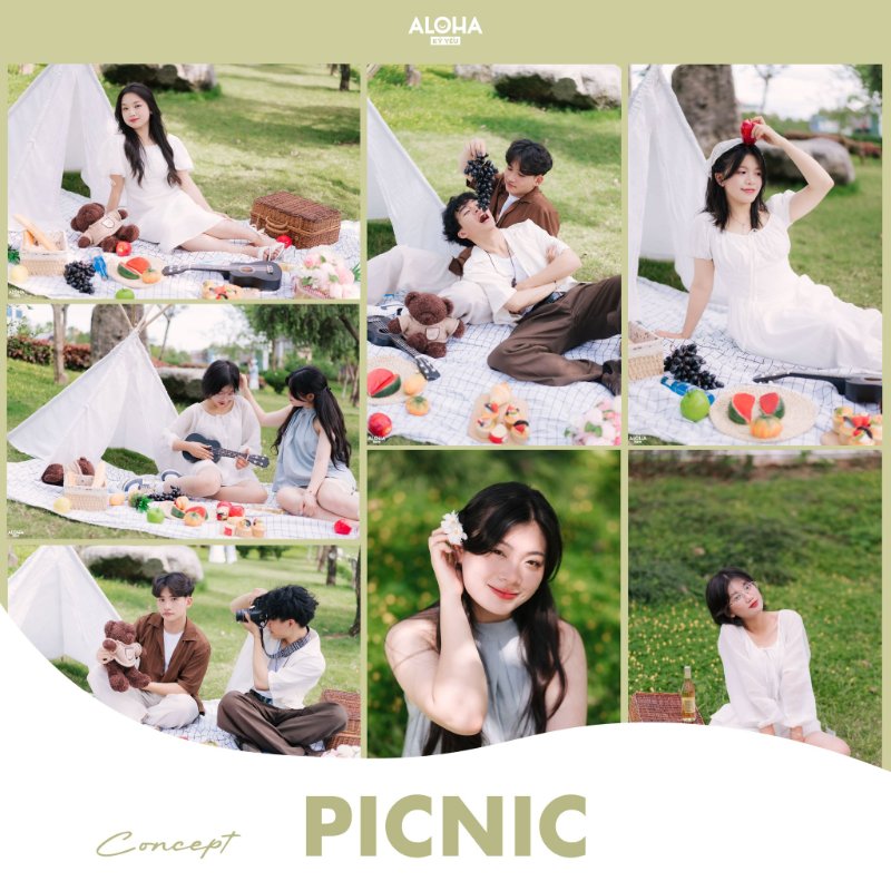 Concept Picnic