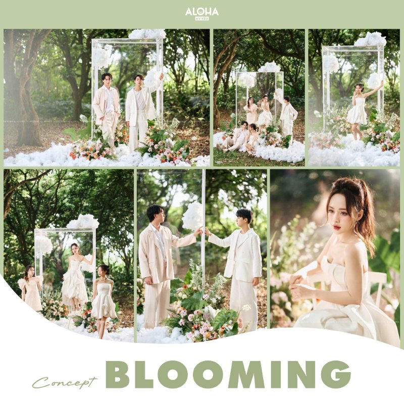 Concept Blooming