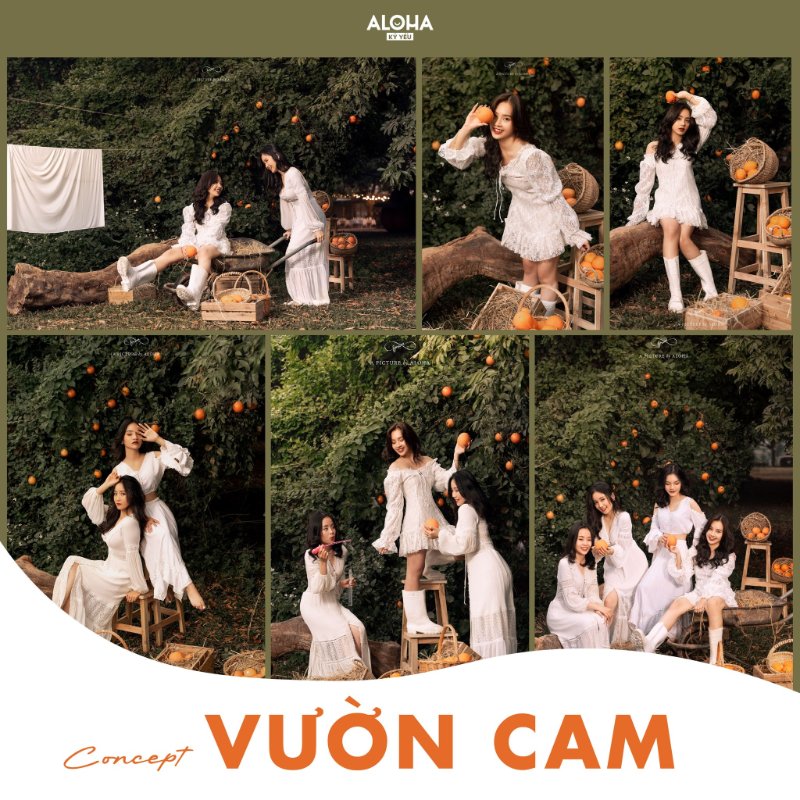 Concept Vườn Cam