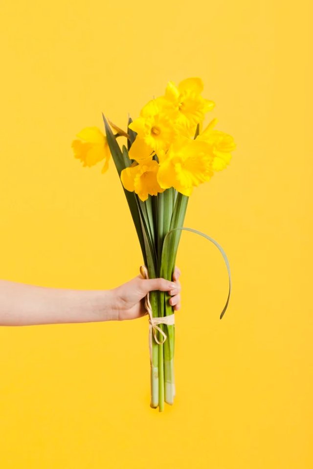 Ảnh 20/10 làm hình nền điện thoại rạng rỡ