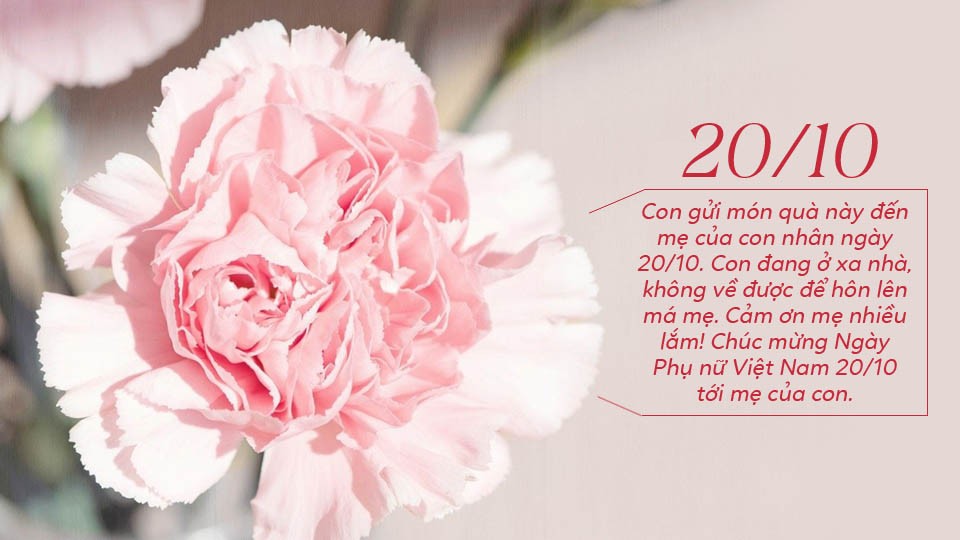 Ảnh 20/10 tặng Mẹ yêu cảm động