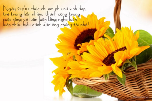 Ảnh 2010 tặng chị em, đồng nghiệp xinh đẹp