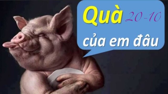 Hình ảnh 20/10 chế vui nhộn