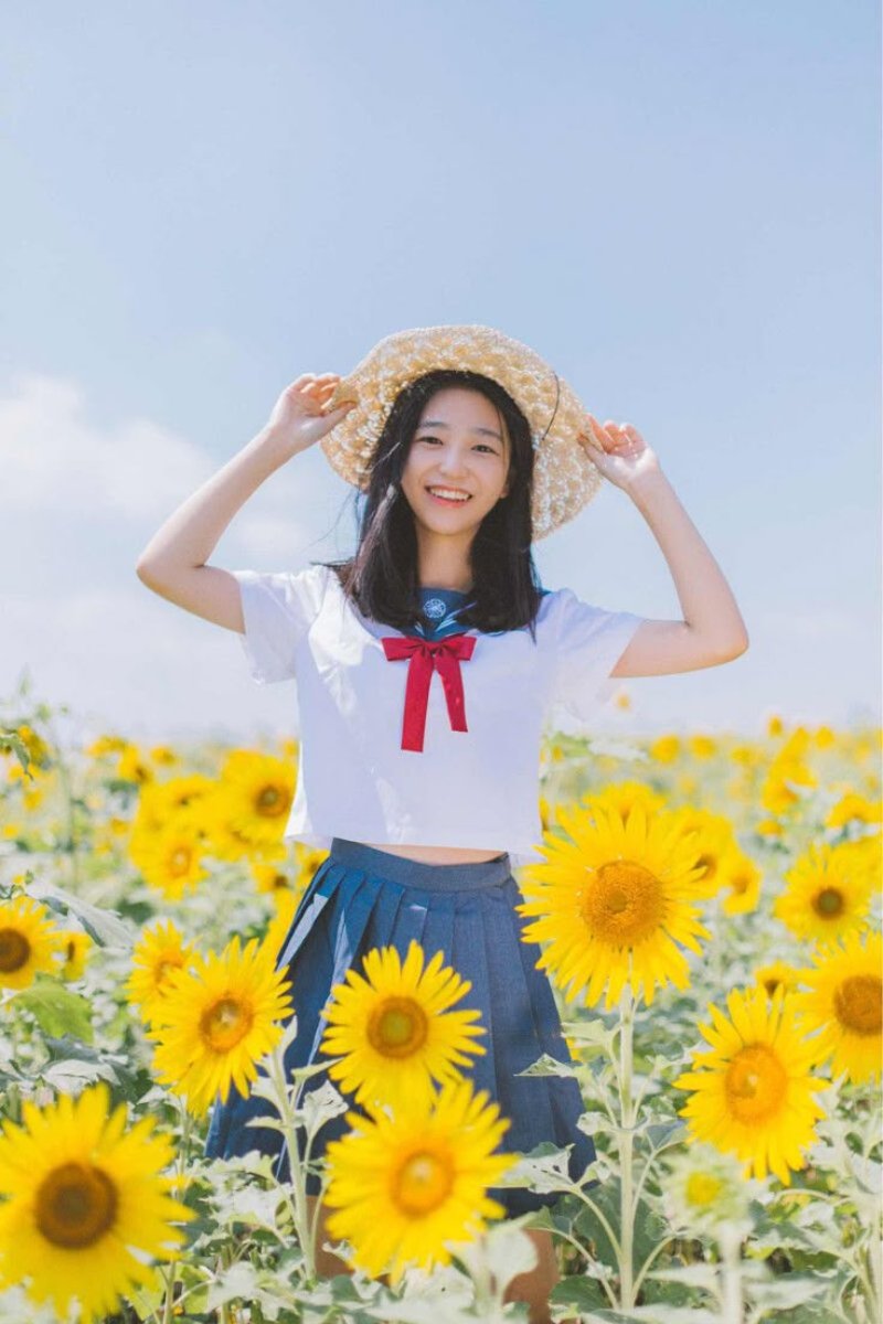 Hướng về ánh mặt trời