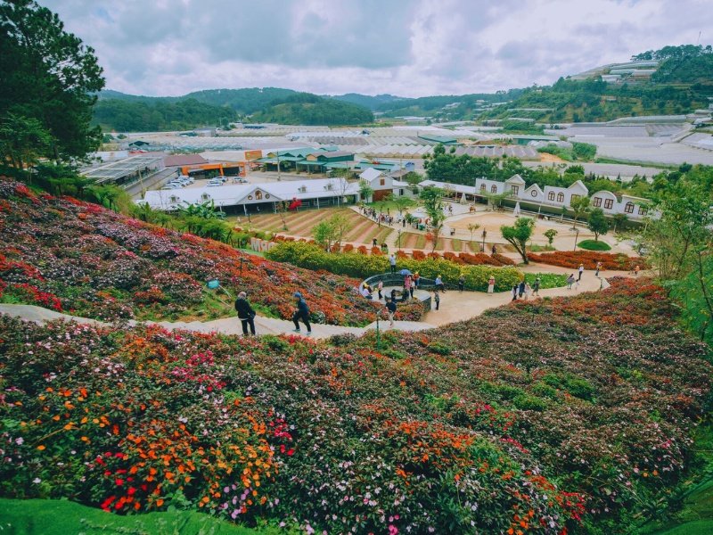 Puppy Farm Đà Lạt
