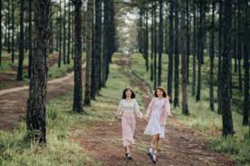 Rừng thông Đà Lạt