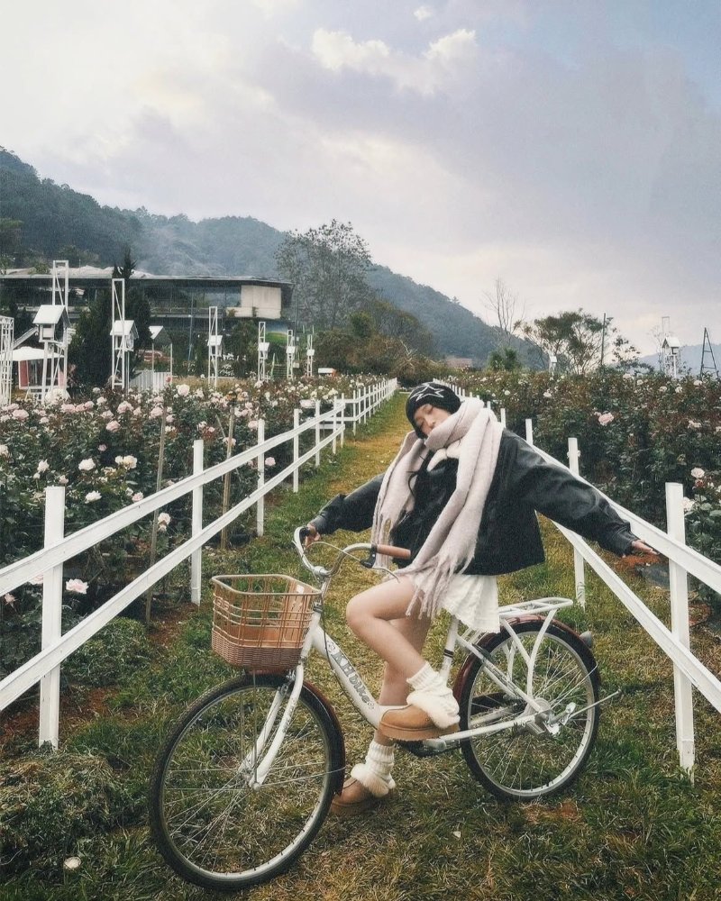 Sử dụng công cụ để tạo thêm màu sắc và ánh sáng