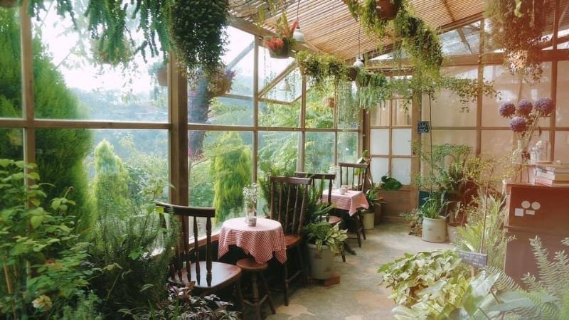 Tiệm cafe Cây cam ngọt