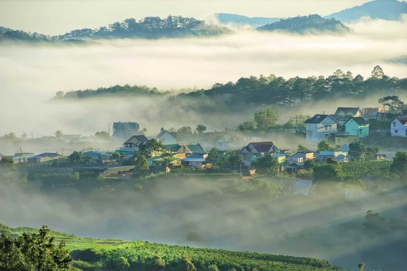 Vì sao nên chụp ảnh Đà Lạt