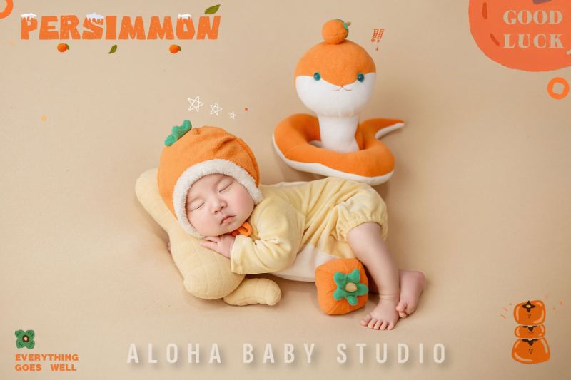 Aloha Baby Studio cung cấp dịch vụ chụp tại nhà chuyên nghiệp