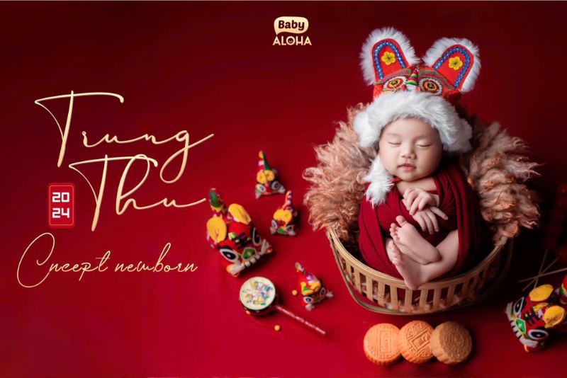 Chụp hình cho bé sơ sinh ở Ba Đình concept mùa lễ hội