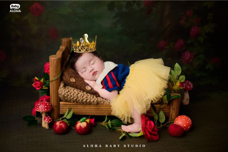 Concept chụp ảnh newborn cổ tích