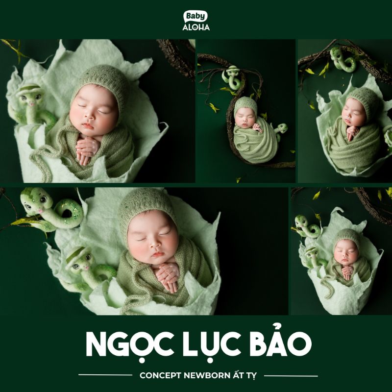 Concept chụp ảnh newborn năm Rắn Ất Tỵ