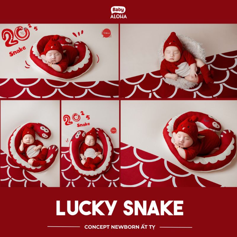 Concept chụp ảnh sơ sinh năm Rắn Ất Tỵ
