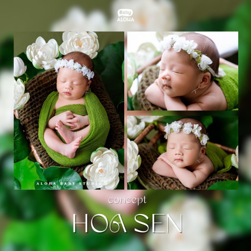 Khám phá sự đa dạng trong phong cách và concept