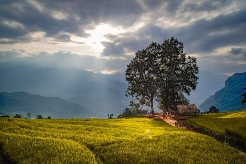Y Tý (Bát Xát) ( Nguồn ảnh: Sưu tầm )