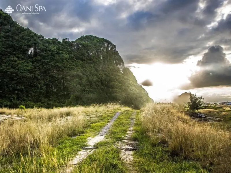 Bãi Cháy Sơn Trà ( nguồn ảnh: sưu tầm )
