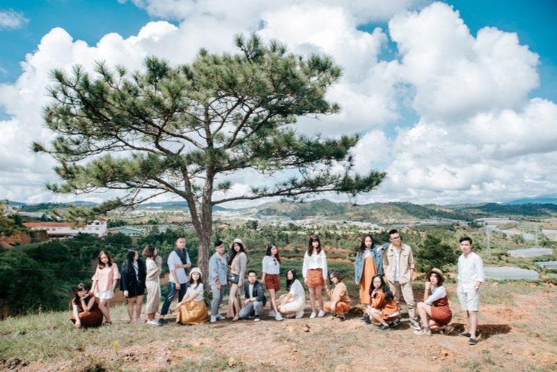 Bối cảnh sương mù và rừng thông bạt ngàn