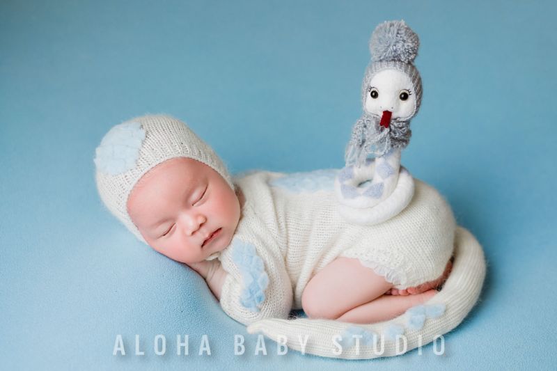 Concept chụp ảnh newborn năm Rắn Ất Tỵ