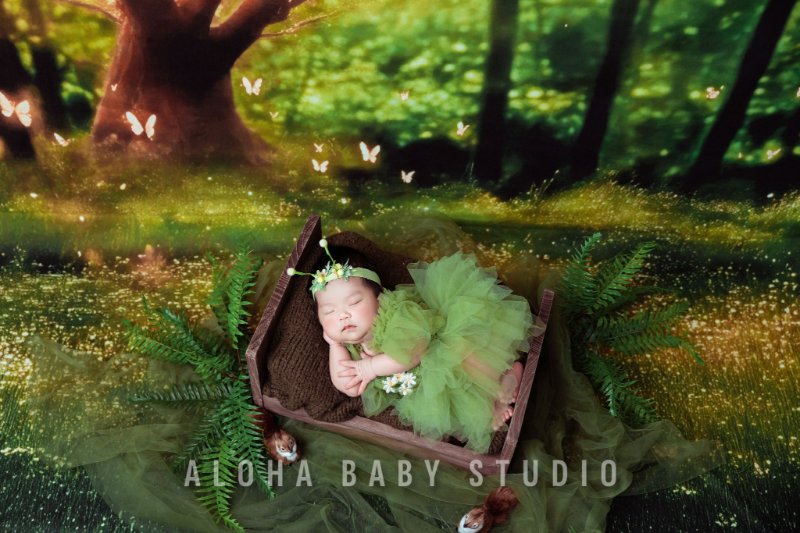 Concept cổ tích và lãng mạn