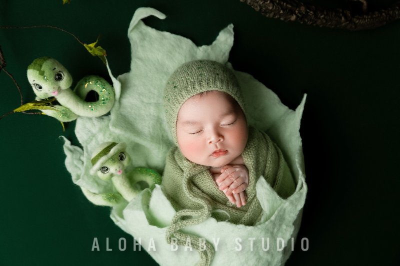 Concept theo con giáp và sở thích gia đình