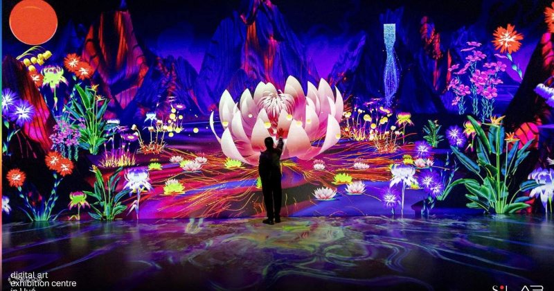 Sốnglab Digital Art Centre Tại Huế