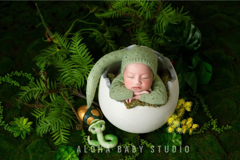 Phản hồi và trải nghiệm thực tế từ cộng đồng