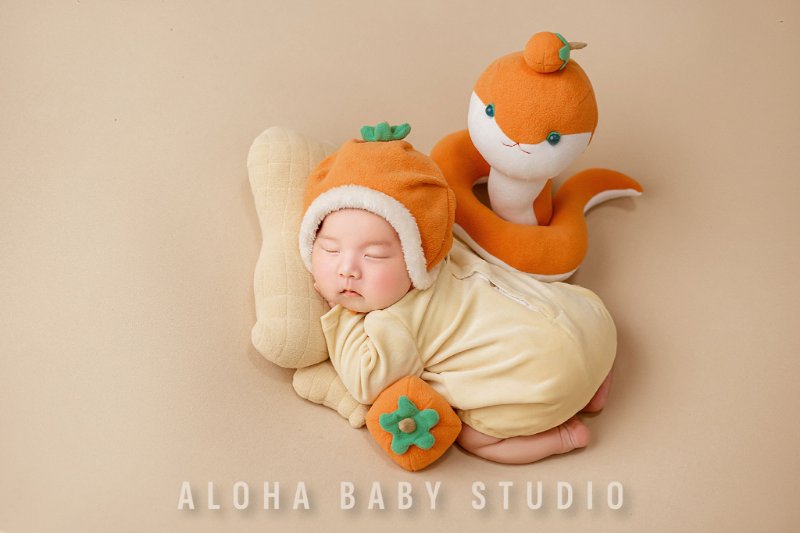 Aloha Baby Studio - Dịch vụ chụp ảnh sơ sinh tại Thường Tín được đánh giá cao