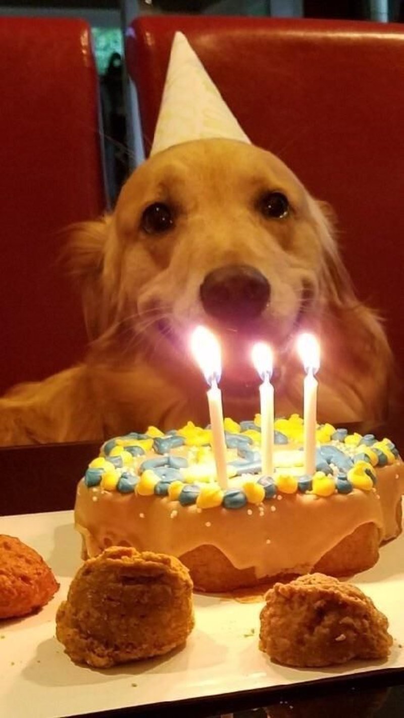 Ảnh troll sinh nhật bạn thân nam cực chất