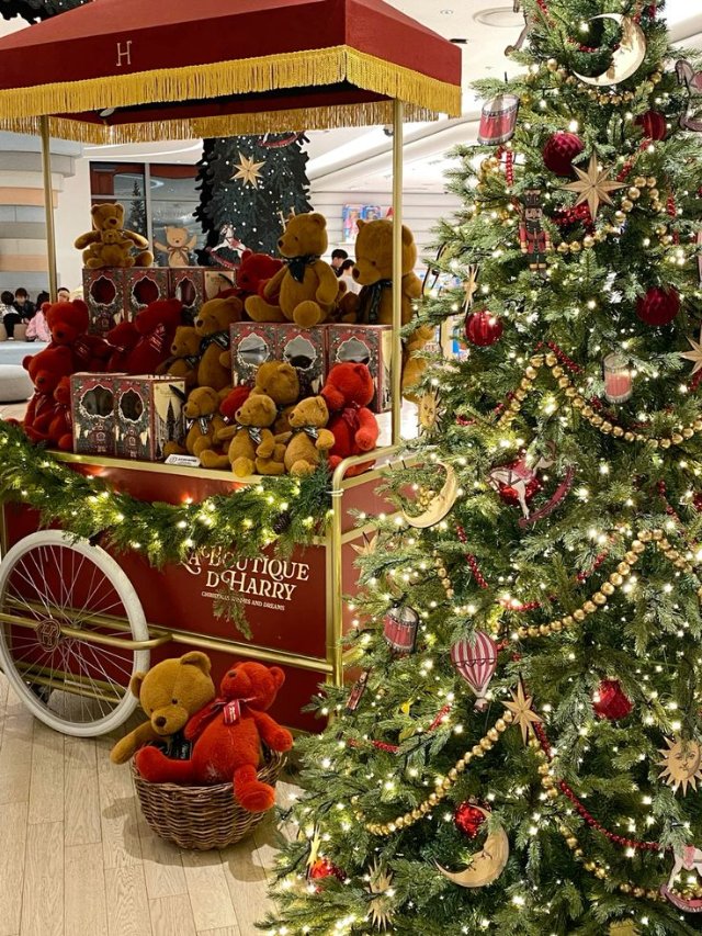 Hình ảnh cây thông Noel mùa Giáng sinh rực rỡ