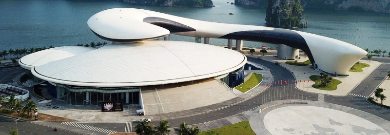 Cung Cá Heo: Sự Pha Trộn Giữa Hoài Niệm và Sôi Động