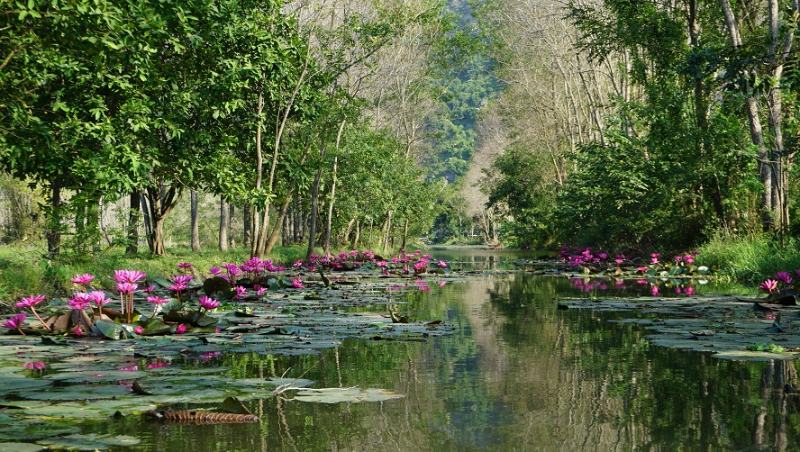 Góc Phố Cổ, Đồng Quê, Điểm Đến Du Lịch Nổi Tiếng