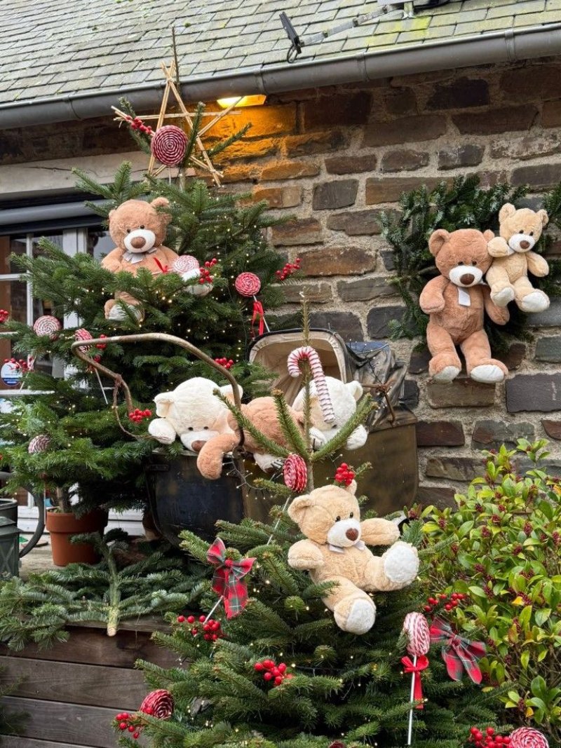 Những câu hỏi thường gặp về trang trí cây thông noel