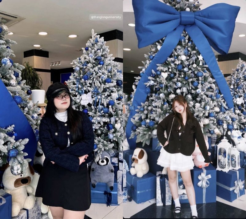 Trang trí cây thông Noel bằng tông màu chủ đạo