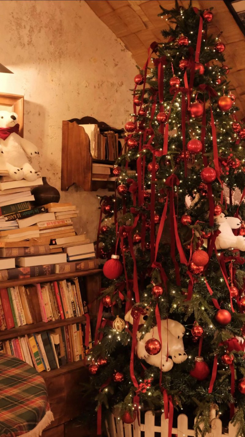 Ward coffee - Quán cafe trang trí noel ở Quận 10