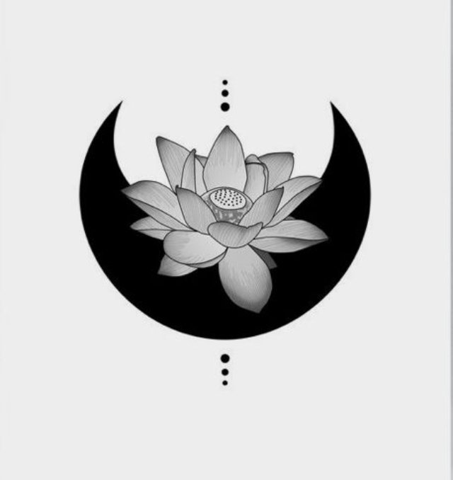 Ảnh hoa sen đen trắng hình vẽ nghệ thuật