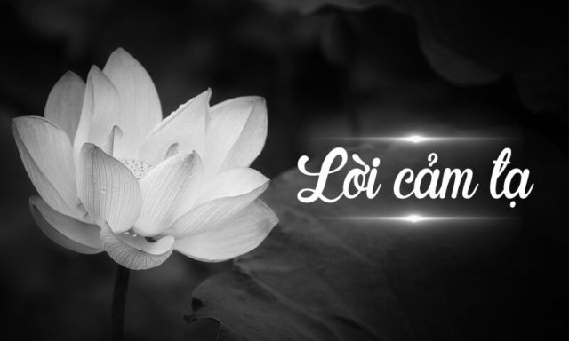 Ảnh hoa sen trắng nền đen chia buồn