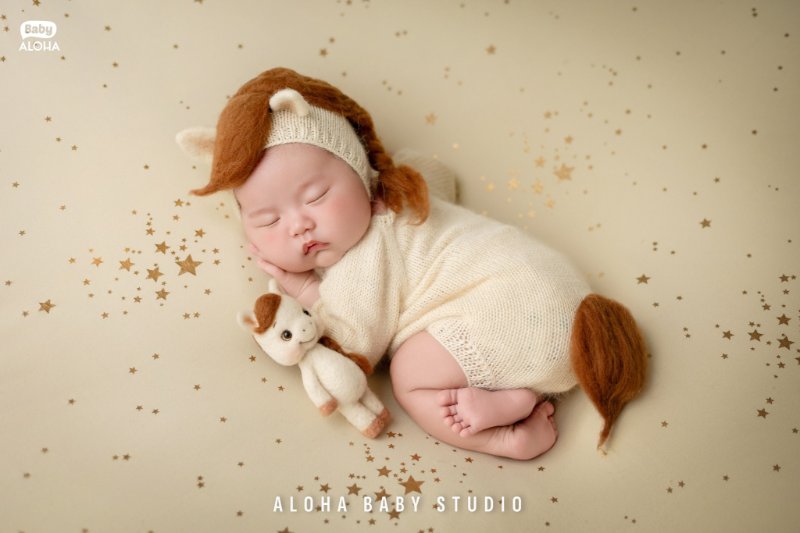 Concept chụp ảnh sơ sinh năm Bính Ngọ 2026