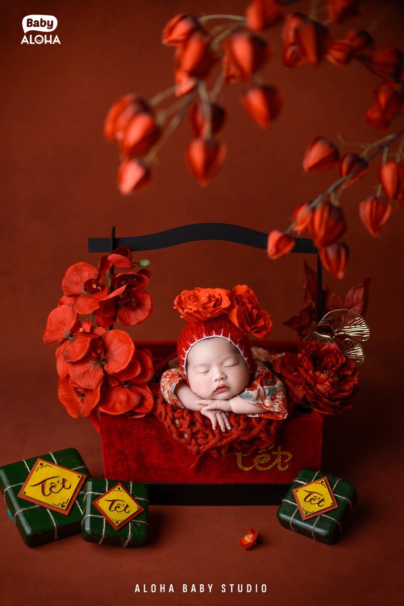 Vì sao việc đón trẻ sơ sinh từ viện về nhà được coi là rất quan trọng