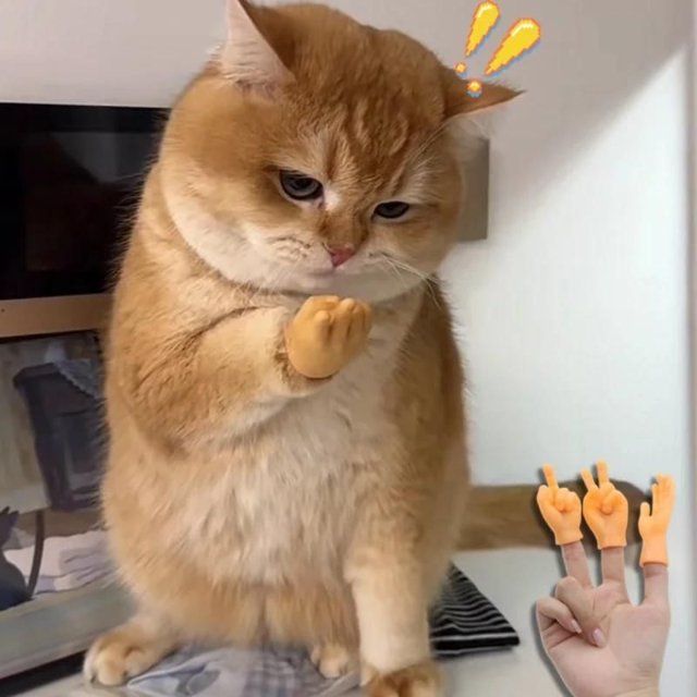 Ảnh khịa hình mèo chỉ tay ngộ nghĩnh
