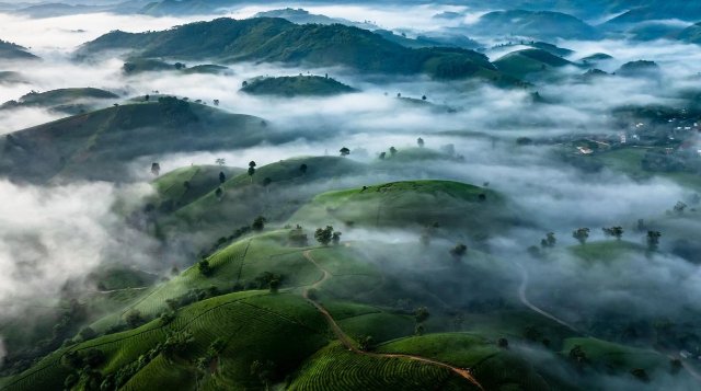 Ảnh nền thiên nhiên núi rừng hùng vĩ