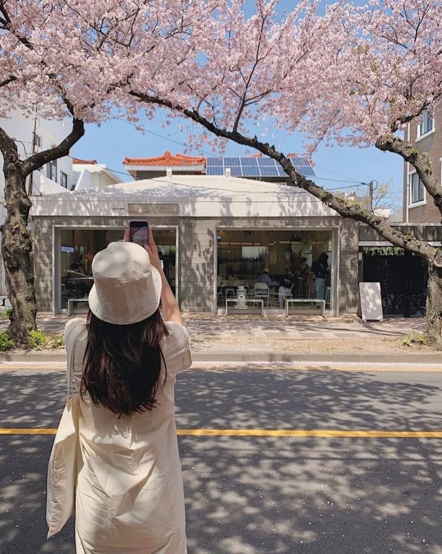 Ảnh phong cảnh Hàn Quốc tuyệt đẹp