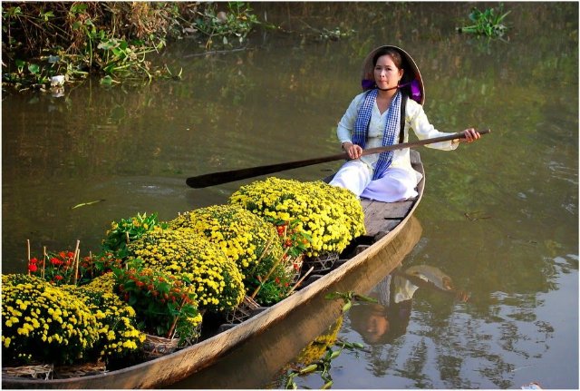 Ảnh phong cảnh thiên nhiên làng quê Việt